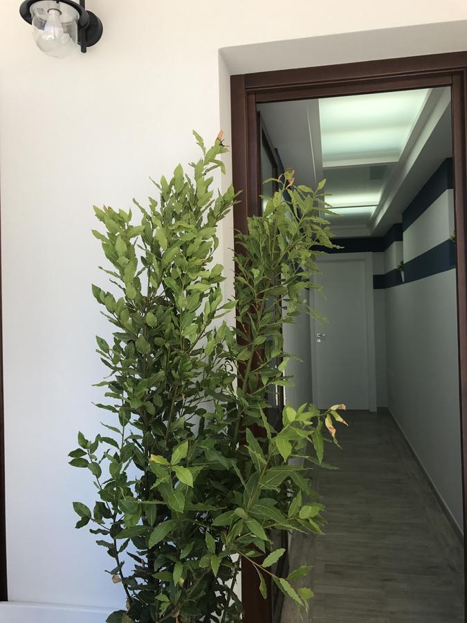 Elisir Suite Rooms By Marino Tourist Σαν Βίτο λο Κάπο Εξωτερικό φωτογραφία
